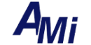 AMI INC