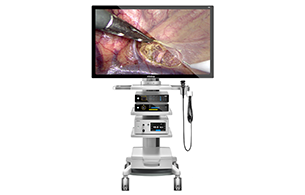 Mindray LCD 31″